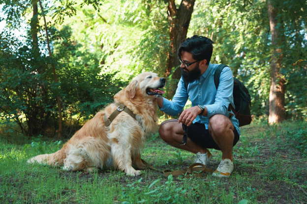 Dr. Cindy Maro on Arthritis, Mobility, and Early Signs of Pain in Pets Dr. Cindy Maro on Arthritis, Mobility, and Early Signs of Pain in Pets