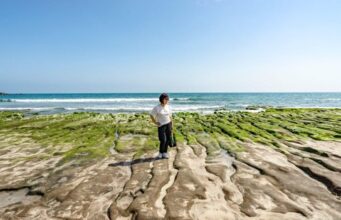 John Wnek on Micro-Habitat Engineering: How Small-Scale Interventions Are Redefining Coastal Resilience John Wnek on Micro-Habitat Engineering