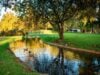 The Invisible Cost of Overlapping Coverage: How Irrigation Inefficiencies Quietly Affect Landscape Performance The Invisible Cost of Overlapping Coverage: How Irrigation Inefficiencies Quietly Affect Landscape Performance
