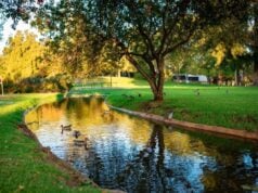 The Invisible Cost of Overlapping Coverage: How Irrigation Inefficiencies Quietly Affect Landscape Performance The Invisible Cost of Overlapping Coverage: How Irrigation Inefficiencies Quietly Affect Landscape Performance
