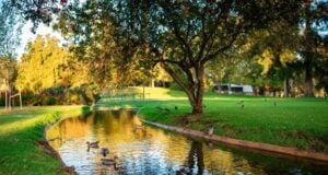 The Invisible Cost of Overlapping Coverage: How Irrigation Inefficiencies Quietly Affect Landscape Performance The Invisible Cost of Overlapping Coverage: How Irrigation Inefficiencies Quietly Affect Landscape Performance