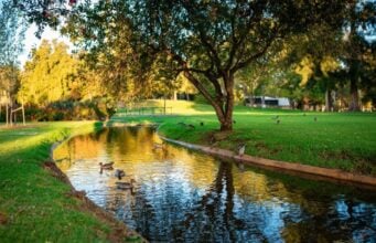 The Invisible Cost of Overlapping Coverage: How Irrigation Inefficiencies Quietly Affect Landscape Performance The Invisible Cost of Overlapping Coverage: How Irrigation Inefficiencies Quietly Affect Landscape Performance