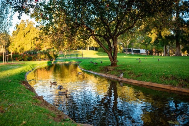 The Invisible Cost of Overlapping Coverage The Invisible Cost of Overlapping Coverage: How Irrigation Inefficiencies Quietly Affect Landscape Performance